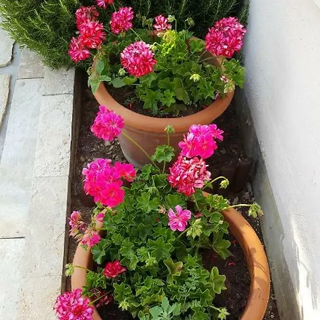 Romana Apartman *