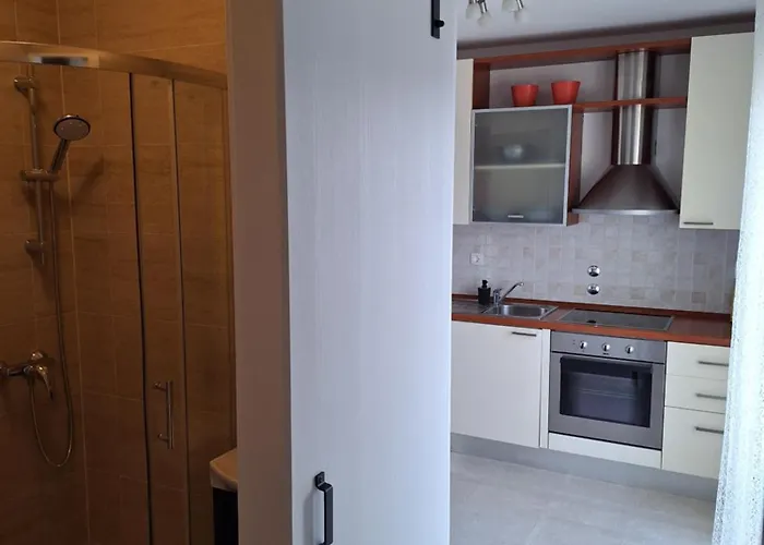 Apartament Romana *