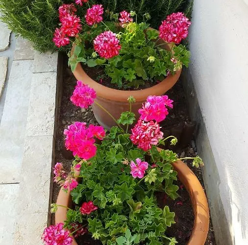Romana Apartament *