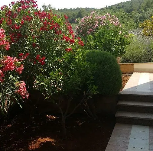 Apartman Romana *